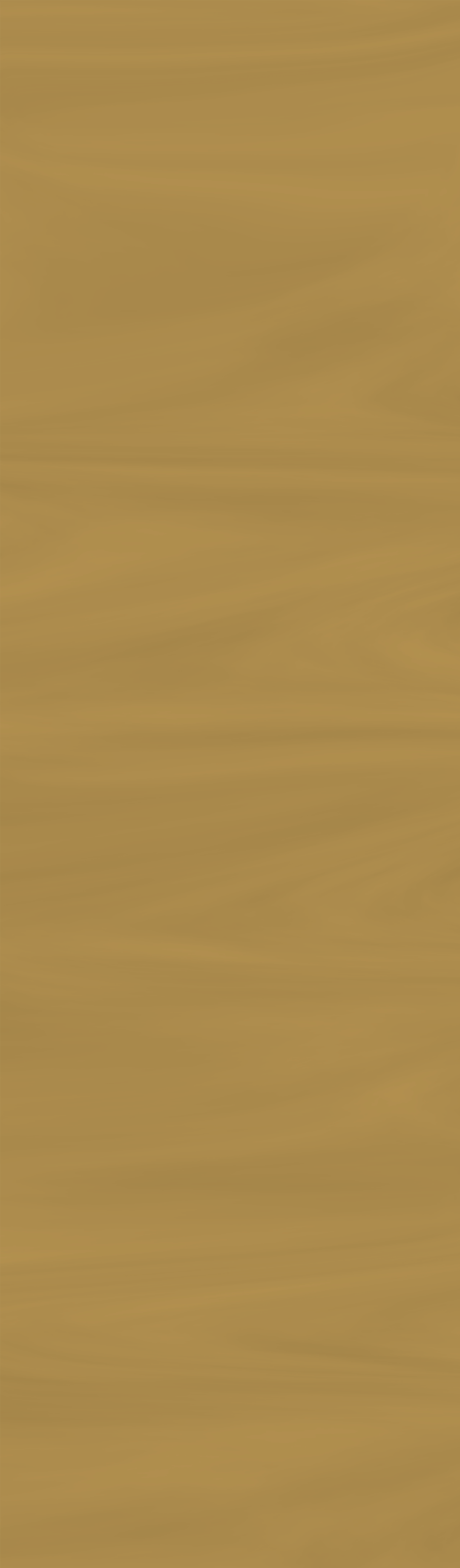 新手选股攻略，掌握秘籍，轻松乘搭牛市快车