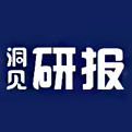 洞见研报